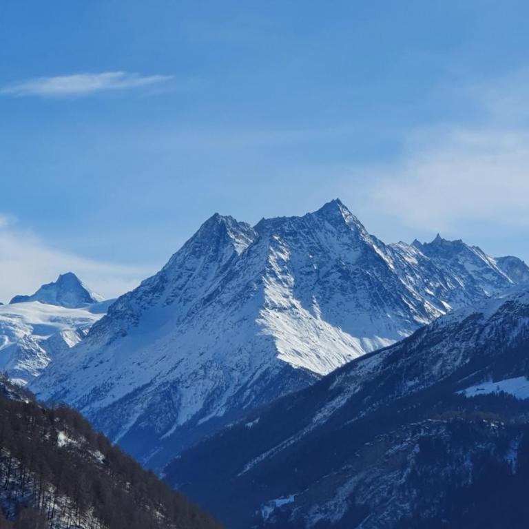 Appartement "Le Ver Luisant" à Saint-Martin, Val d'Hérens, Valais - Apartment mit 2 Schlafzimmern - 18