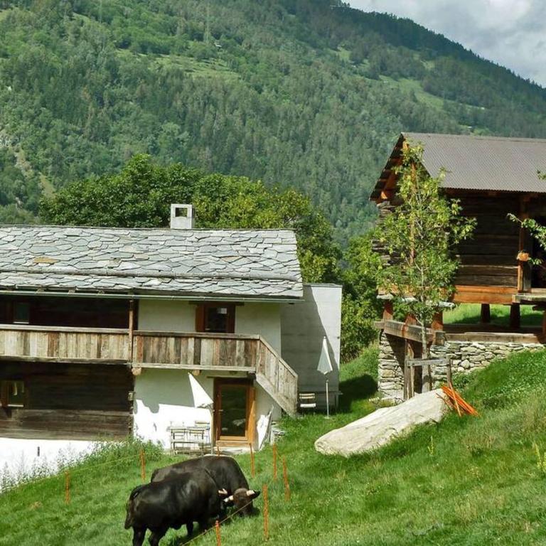 Appartement "Le Ver Luisant" à Saint-Martin, Val d'Hérens, Valais - Apartment mit 2 Schlafzimmern - 31
