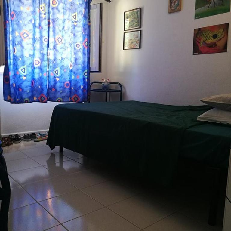 Casa Gianni Cala Gonone Mare - Appartamento - 19