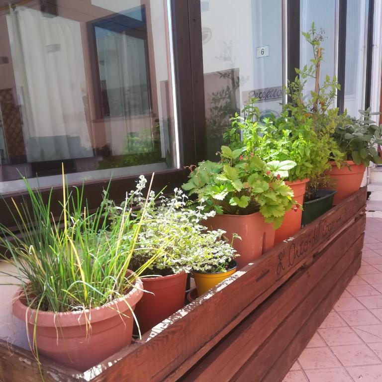Hotel Luisa - Doppel-/Zweibettzimmer mit Balkon - 11