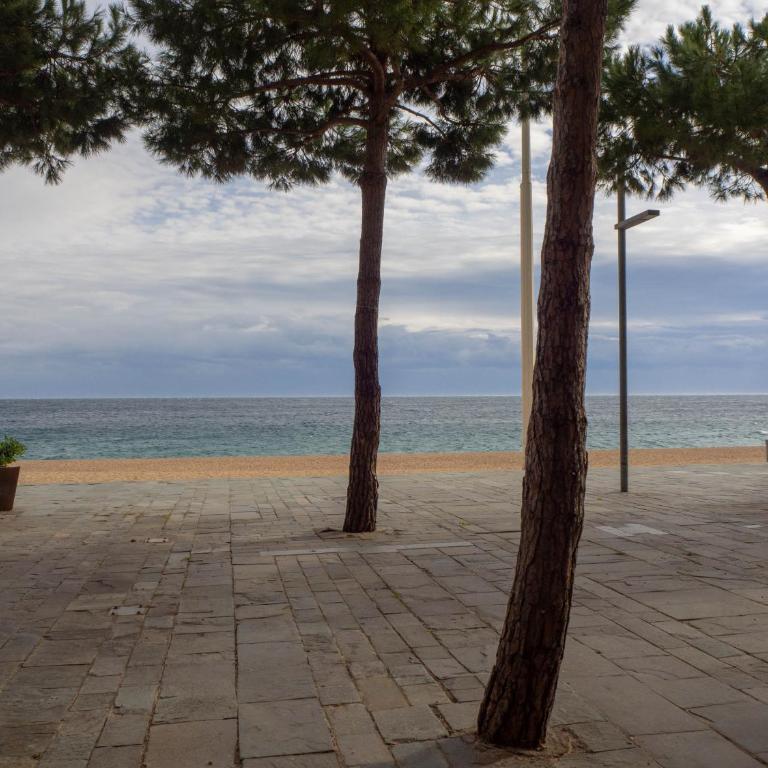 Embajador 1 Apartament per 4 persones a primera linia de mar - Apartamento de 2 dormitorios - 37