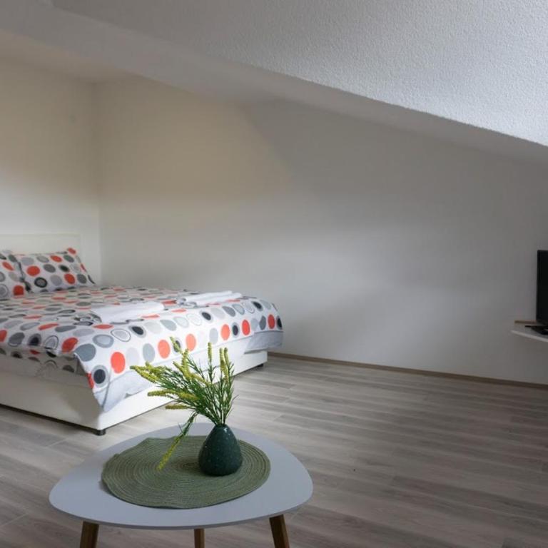 Apartmani Ivković+ - Četvorokrevetna Soba s Terasom - 5