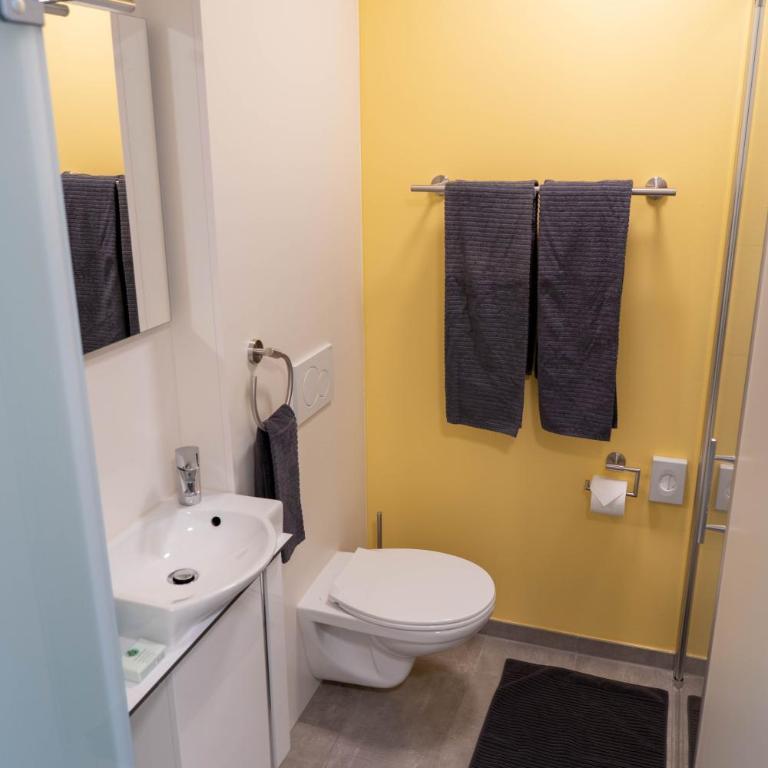 Anstatthotel Horw - app self-check-in - Superior Studio mit 2 Einzelbetten und Balkon - 6