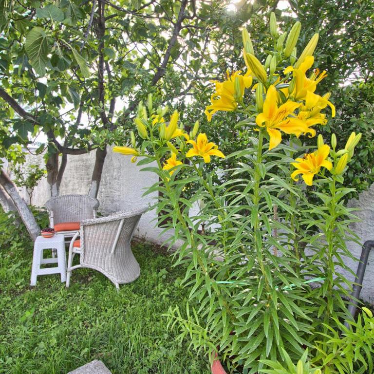 Vacation house Vila Guma Rastani Mostar - Villa - 23