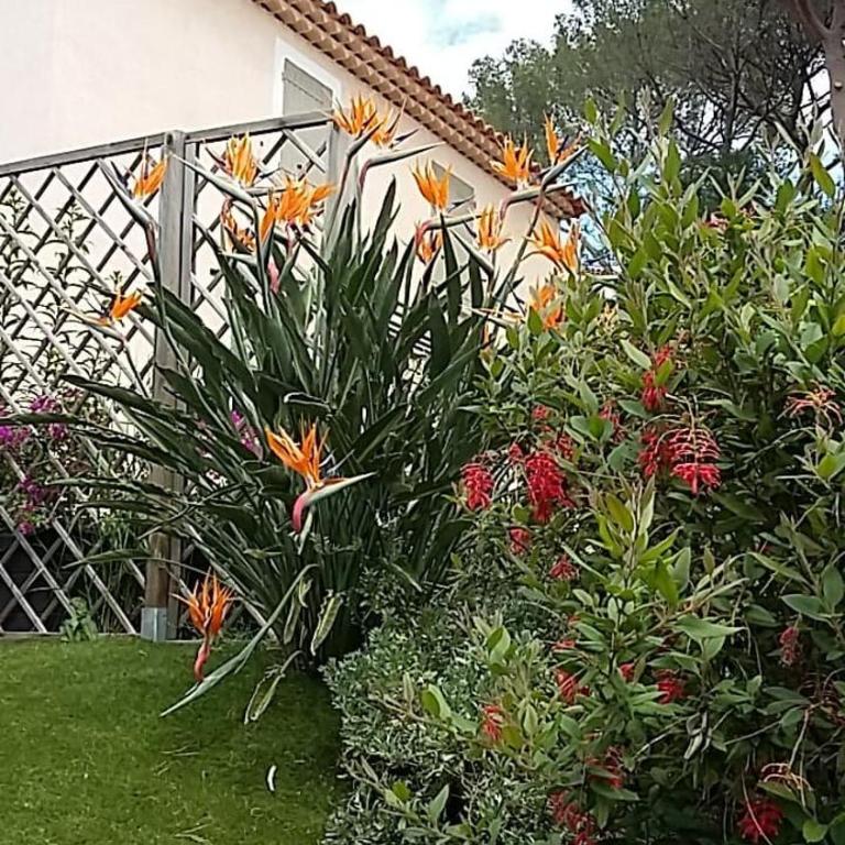 Les Bastides du Haut Para - Maison 2 Chambres - 5
