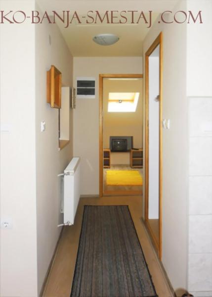 Apartman i Studio Stefan Nemanja Sokobanja - Apartman sa 2 Spavaće Sobe - 11
