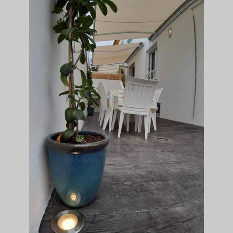 CASA DE DISEÑO EN LA PLAYA. - Casa de 5 dormitorios - 37