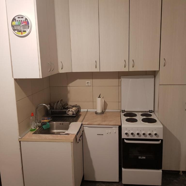 Zabac Sokobanja - Apartment - 3