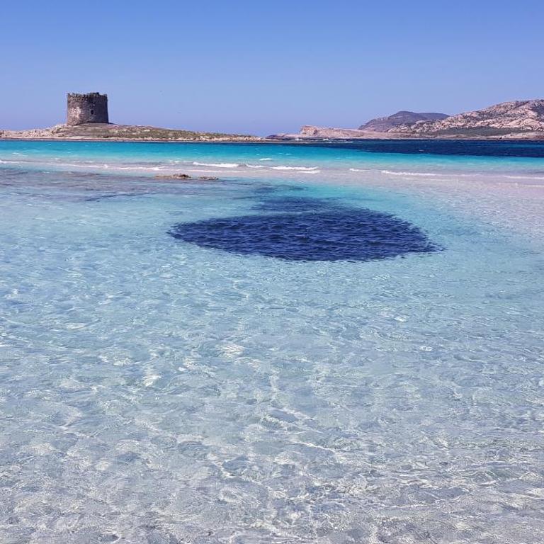 Alghero Heart - Appartamento con 2 Camere da Letto - 22