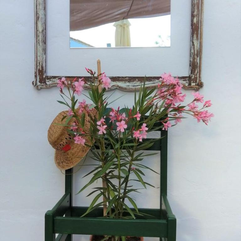 Happy house Arenal - Apartamento Deluxe - 30