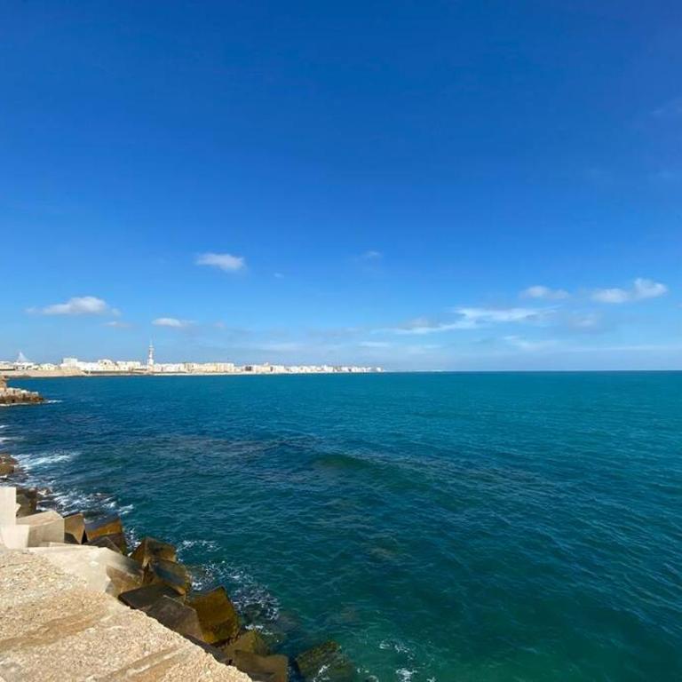 Mirador Playa Caleta Cádiz Centro Grupo AC Gestion - Apartamento de 3 dormitorios - 6