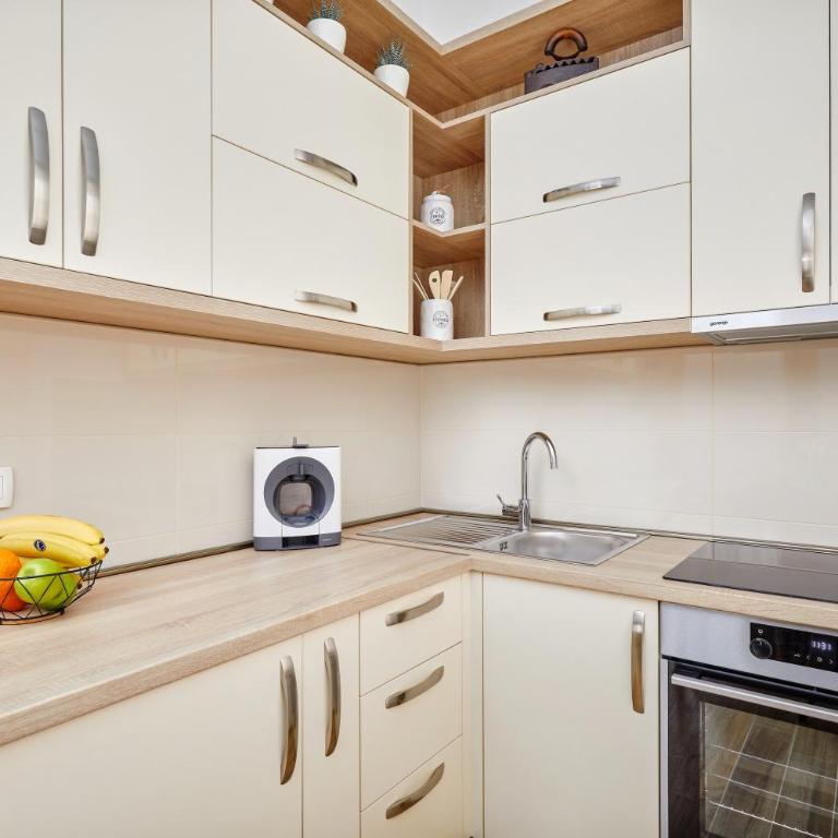 42° North Apartments - One-Bedroom Apartment - 20