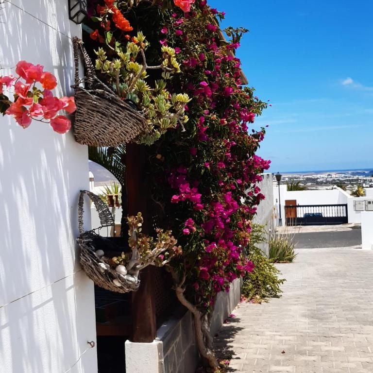 Apartamento Panoramic - Apartment with Sea View - 19