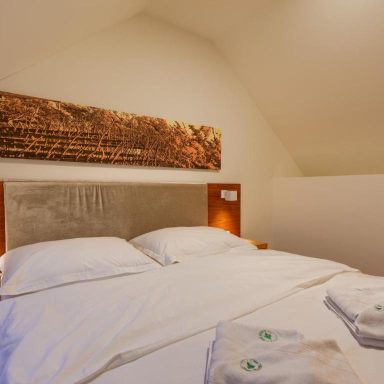Top Rest - Vila Borova - Apartman sa 3 Spavaće Sobe - 21