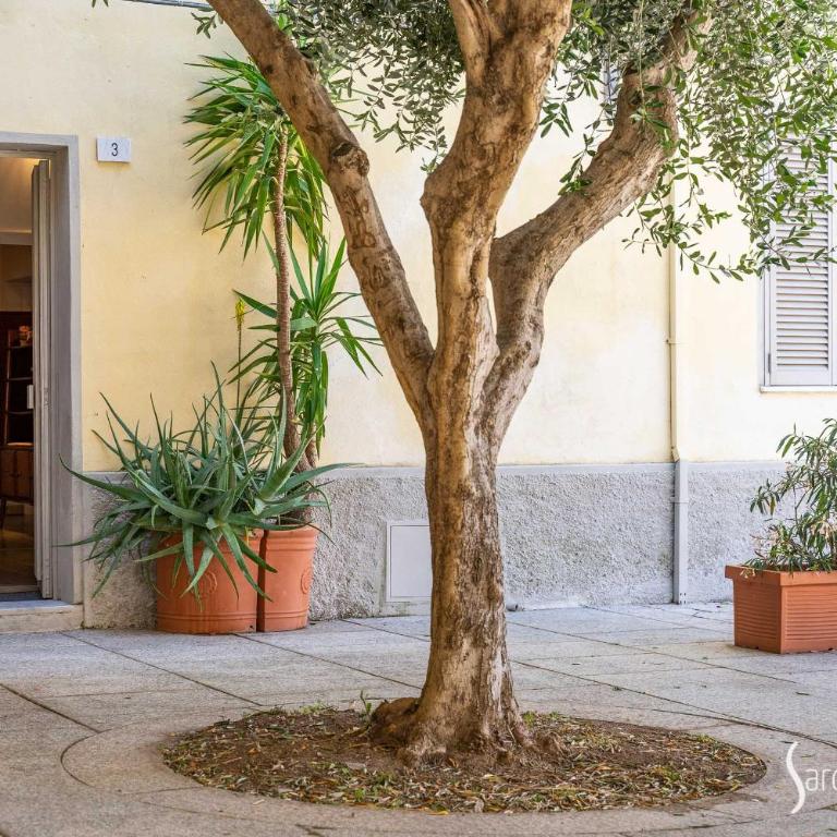 Sardegna Homes Il Glicine - Appartamento con 1 Camera da Letto - 16