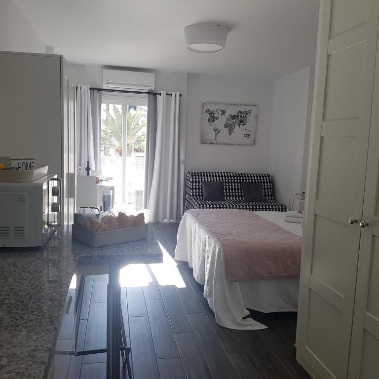 Apartamento Minerva Jupiter - Apartamento Estudio - 14