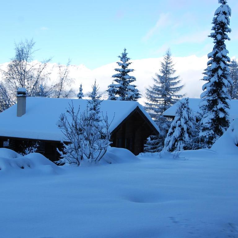 Moosalpe B Bürchen - Appartement avec Vue sur la Montagne - 22