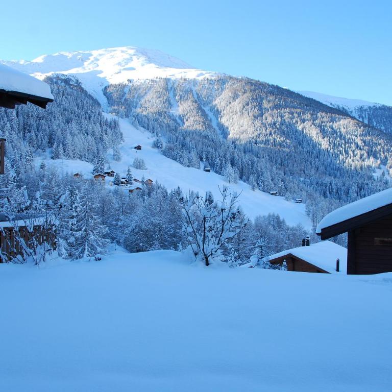 Moosalpe B Bürchen - Appartement avec Vue sur la Montagne - 21