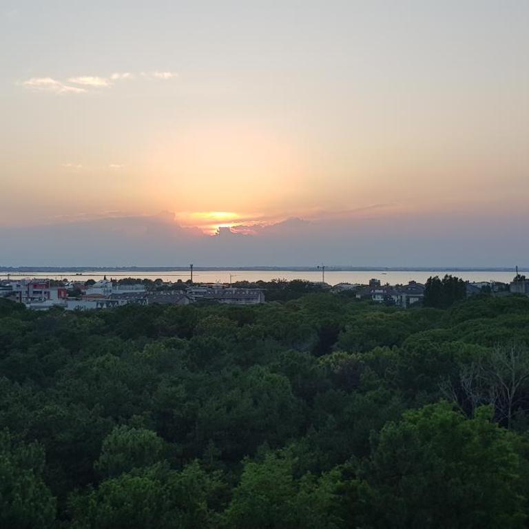 International Seaview Apartments - Studio with Garden View - 24