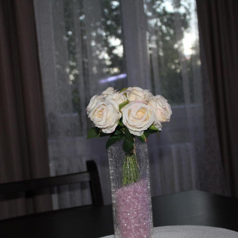Apartman LUNI - Apartman - 17