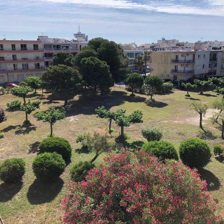 Palavas Beau studio avec Parking Climatisation - Appartement 1 Chambre - 14