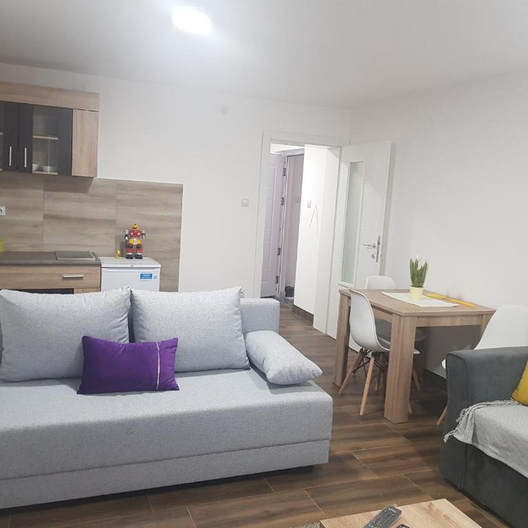 MIKABEL Sokobanja - Studio Apartman - 9