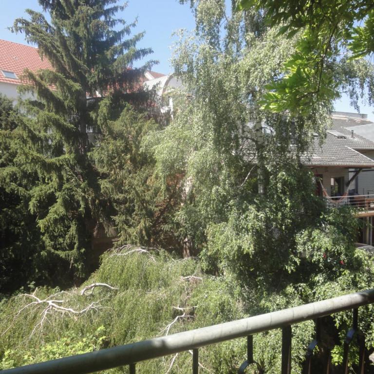 Le jardin des remparts - Appartamento con 2 Camere da Letto - 13