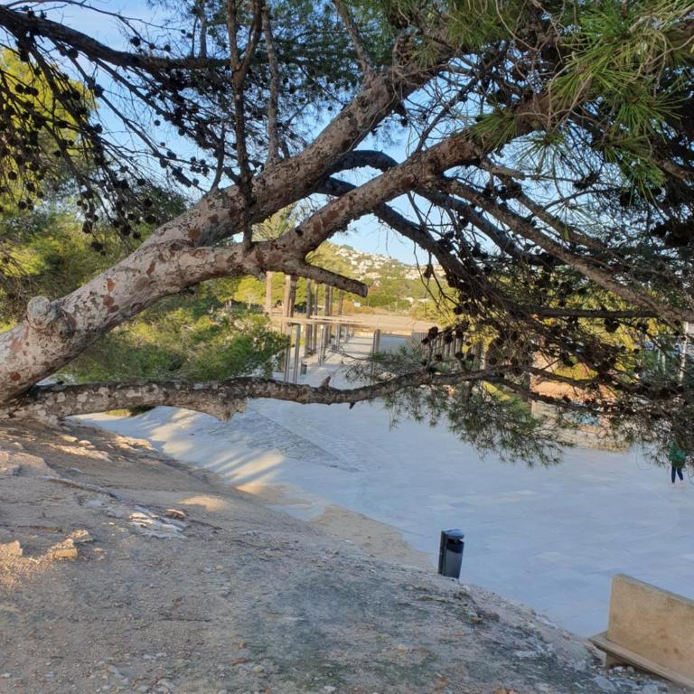 Villa Maia by Moraira Holiday Homes - Casa Vacanze - 20