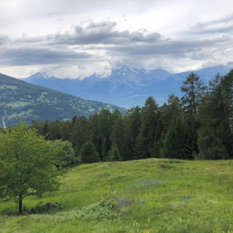 CHEZ FOLLO - Chalet mit 2 Schlafzimmern - 12