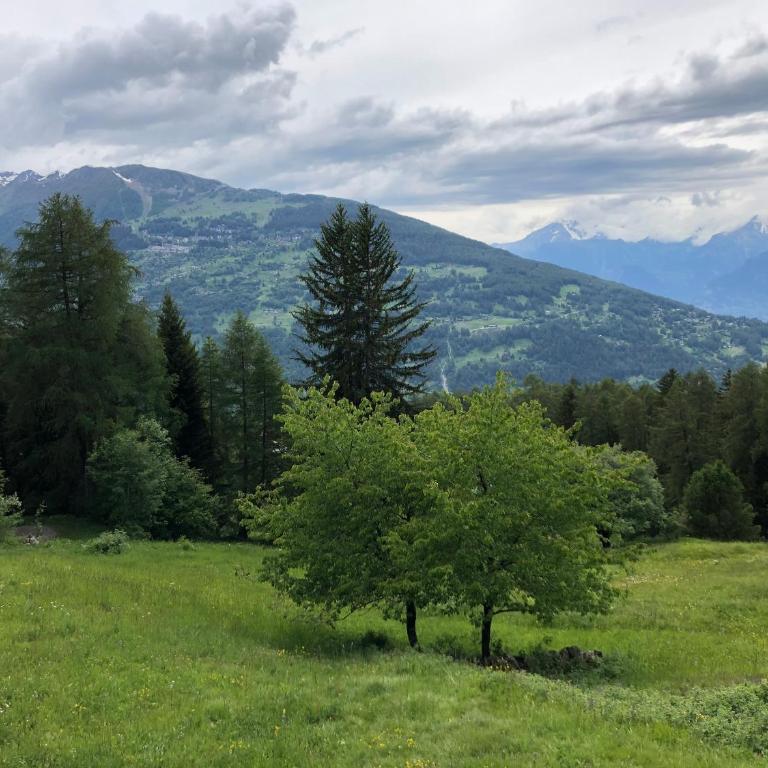 CHEZ FOLLO - Chalet mit 2 Schlafzimmern - 14
