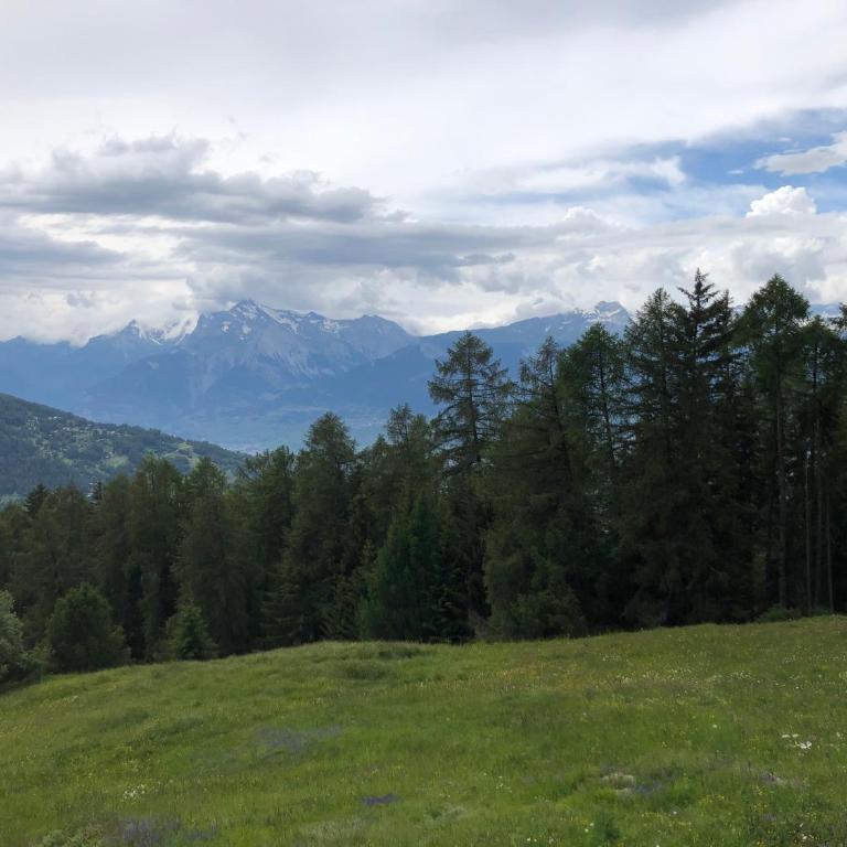 CHEZ FOLLO - Chalet mit 2 Schlafzimmern - 13