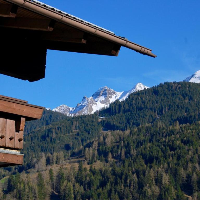 Landhaus Bergner Alm - Apartment mit Balkon - 4