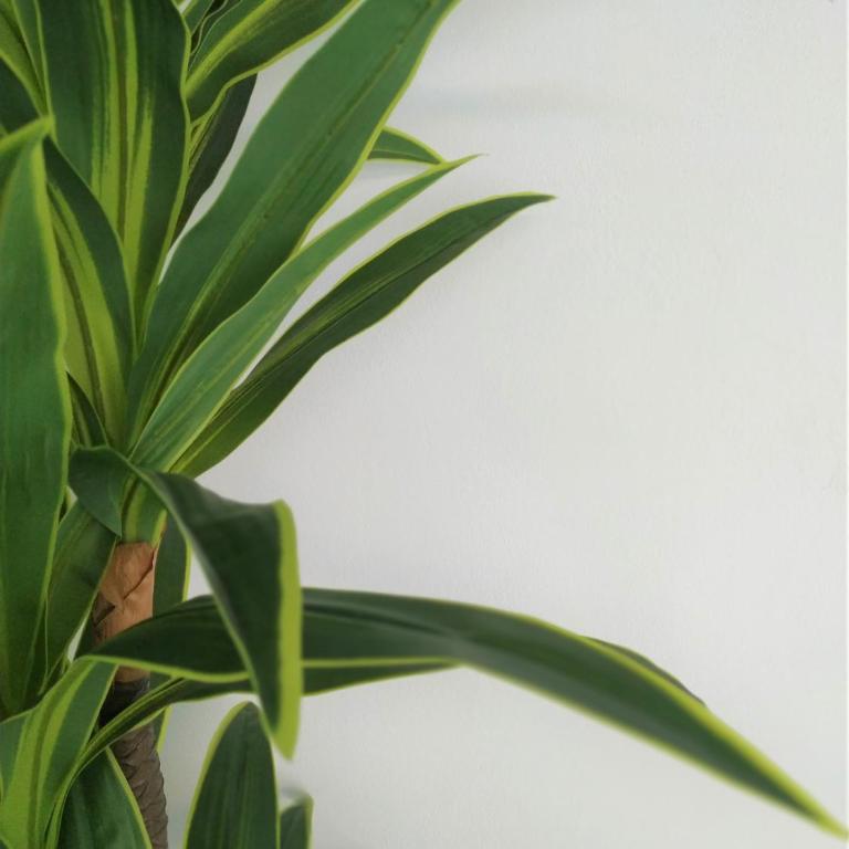 The Green Oasis - Apartamento de 1 dormitorio - 6
