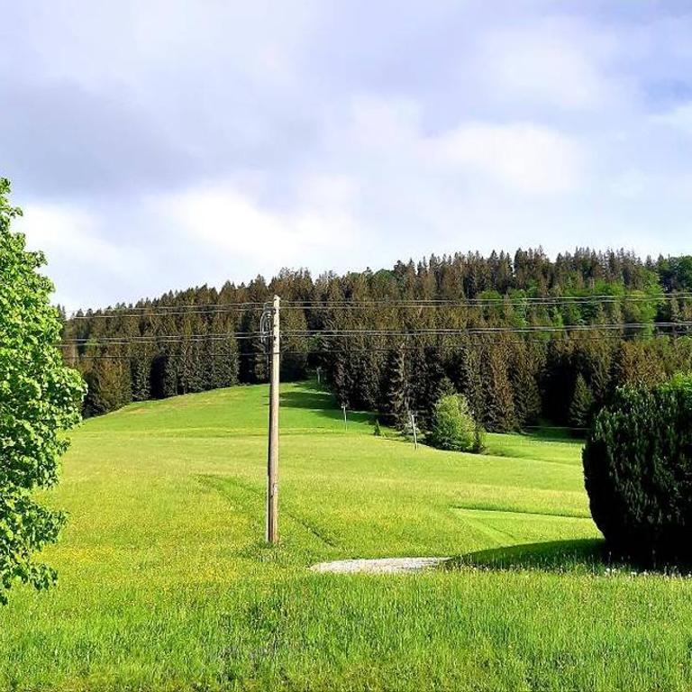 FeWo Alpenveilchen im Oberallgäu mit Pool, Sauna und tollem Ausblick vom großen Balkon - Apartment mit 1 Schlafzimmer - 21