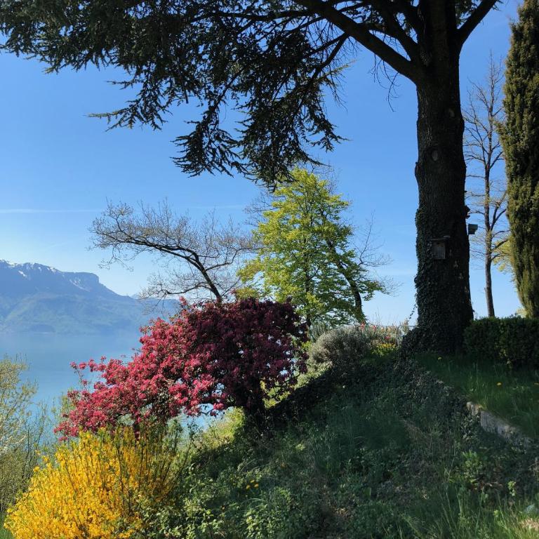 Lavaux Lodge - Romantic escape with magic views! - Villa mit Gartenblick - 27