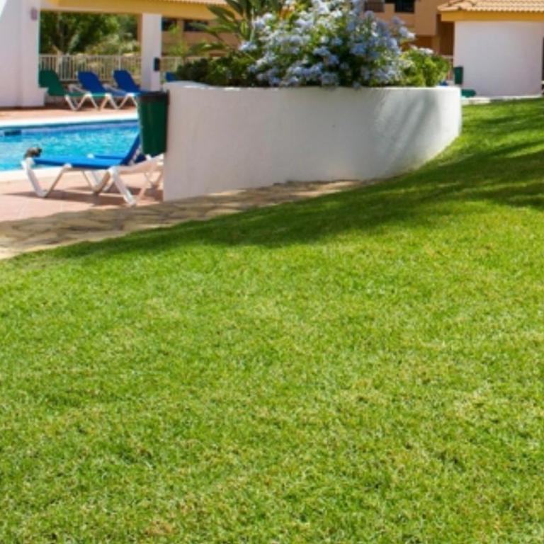 Altea Cala Mascarat - Apartamento de 2 dormitorios - 53