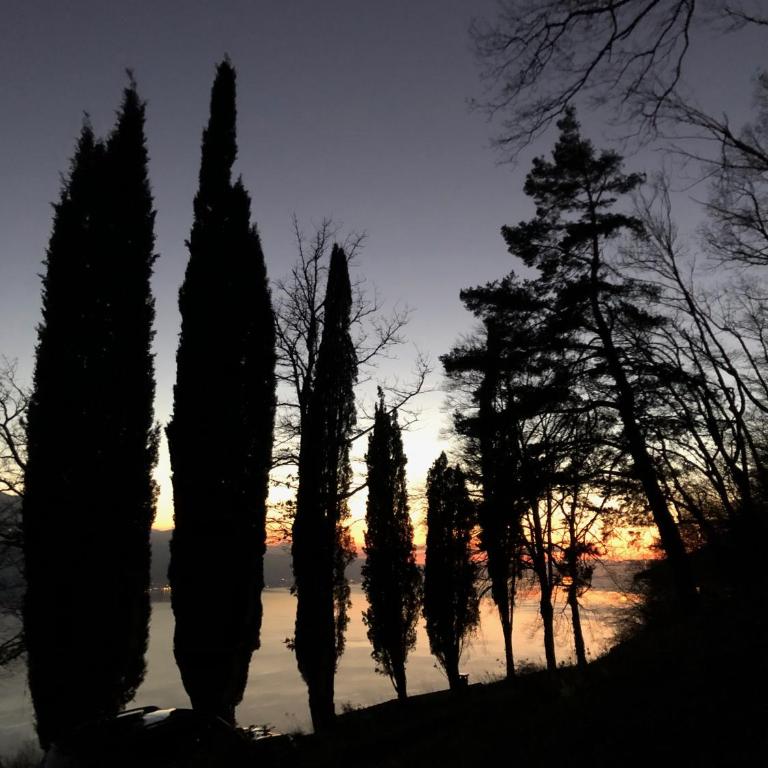 Lavaux Lodge - Romantic escape with magic views! - Villa mit Gartenblick - 19