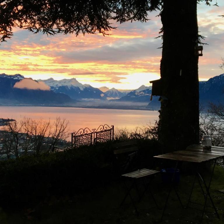 Lavaux Lodge - Romantic escape with magic views! - Villa mit Gartenblick - 36