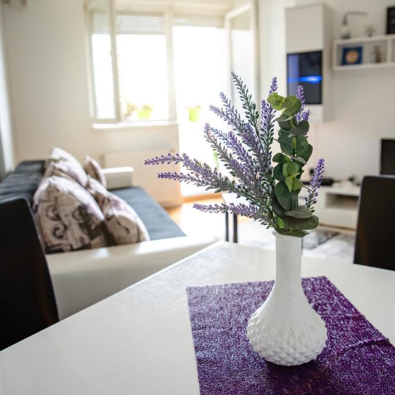 Apartman Black Star - One-Bedroom Apartment - 7