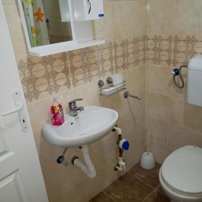 Apartmani Pajic - Apartman sa 1 Spavaćom Sobom - 11
