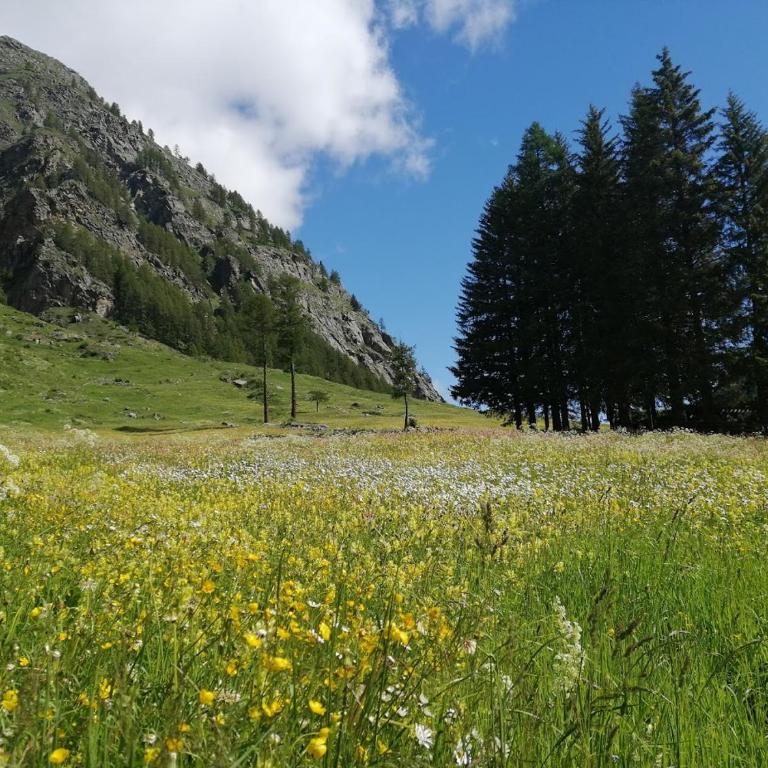 Les Racines - Appartamento Monolocale - 11