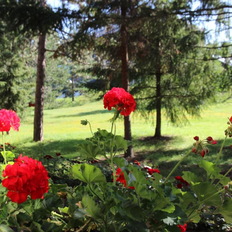 Hotel President garni - Trokrevetna Soba - 1
