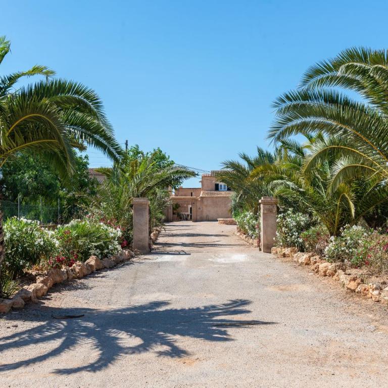 Ses Barreres - Villa de 3 dormitorios - 51