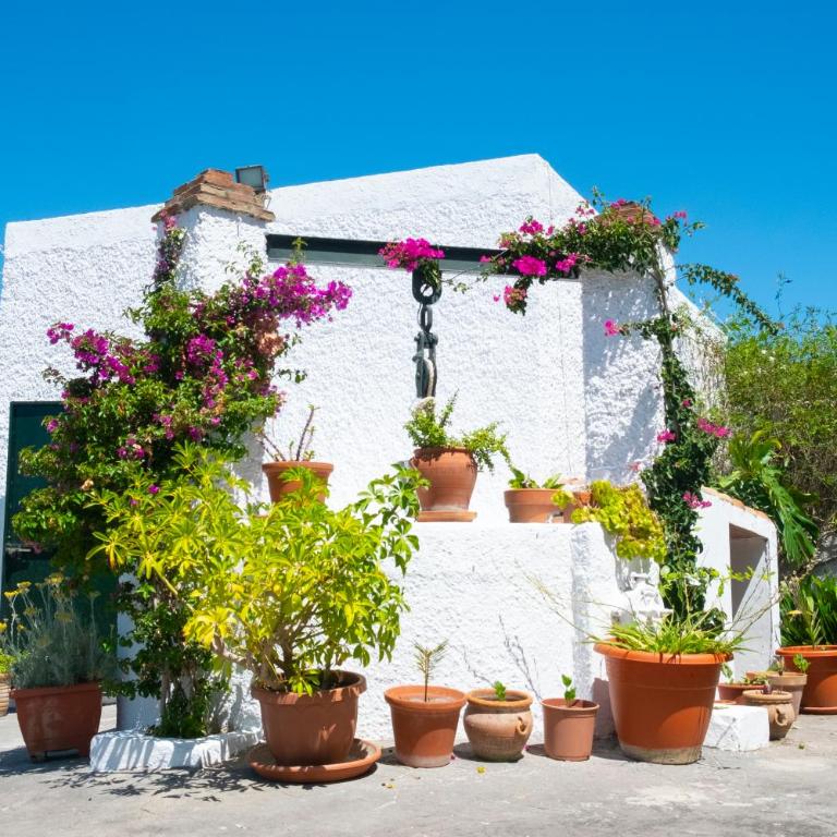 CASA BUGANVILLA - Appartamento con 3 Camere da Letto - 4