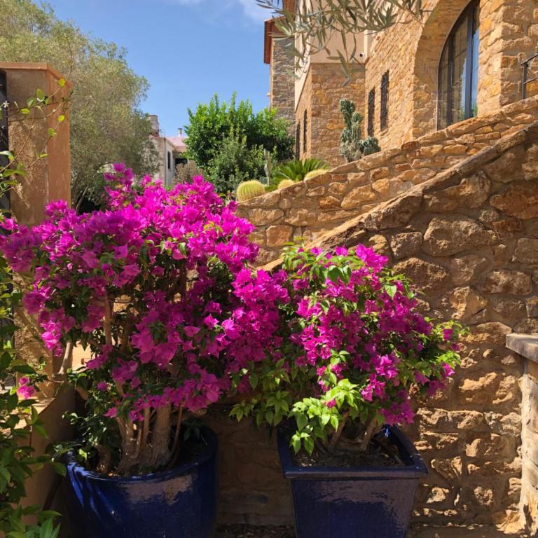 Villa Anna - Villa Deluxe - 11