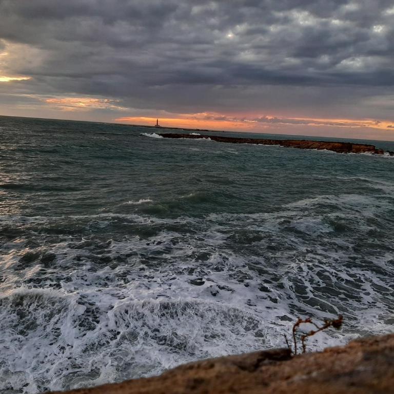 Lunaspina Gallipoli - Appartamento con 1 Camera da Letto - 50