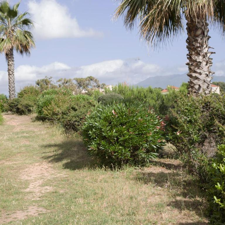 Mare e Vista - Appartement - Vue sur Mer - 16
