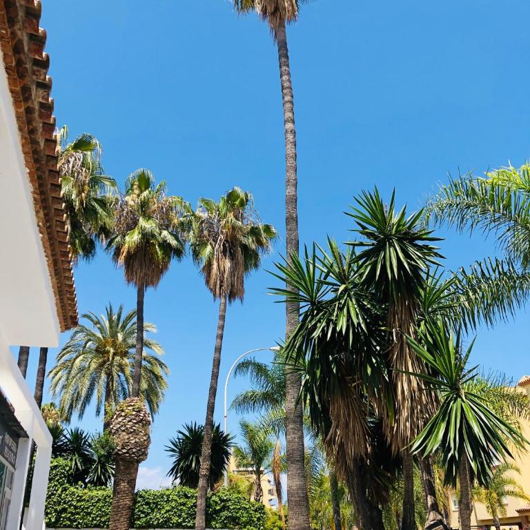 Luxury Carihuela Beach - Three-Bedroom Apartment - 8