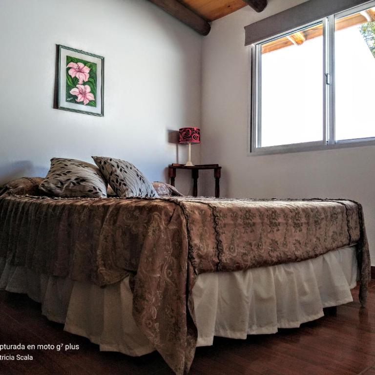 View Point Apart Pino - Apartamento de 1 dormitorio - 3