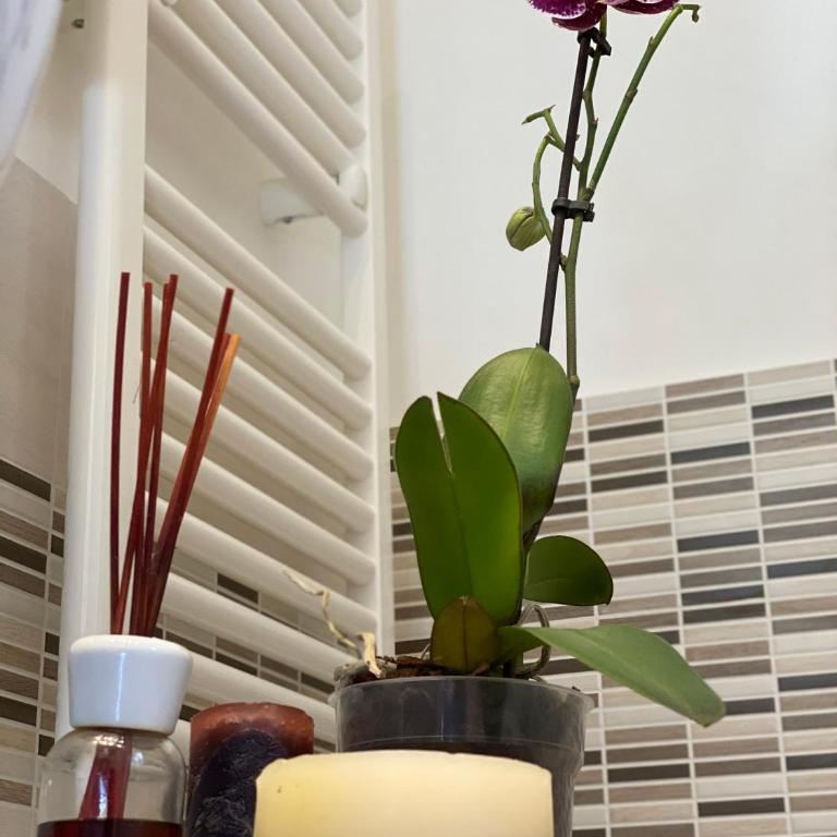 Relax Vicino Al Centro - Appartamento con 2 Camere da Letto - 34